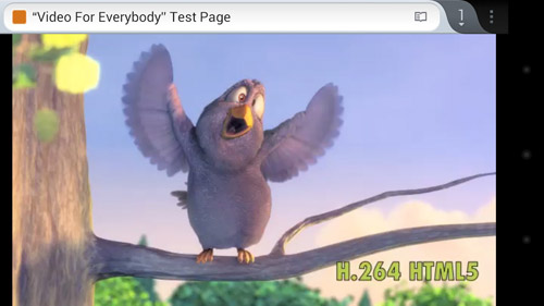 h264-video-screenshot